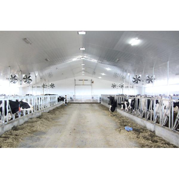 12inch PVC Wall Panel 16
