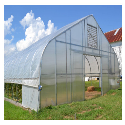 Walk In Poly Tunnel Greenhouse With HDPE Covering Rainfall 150mm/H