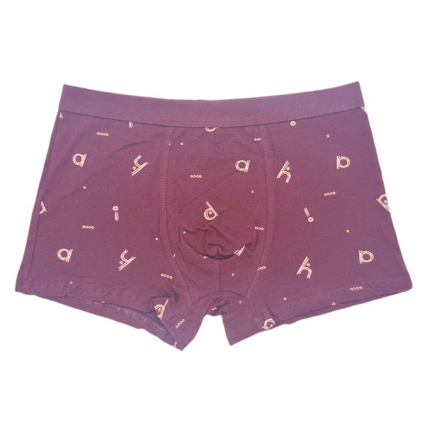 Mens Letter Printed Boxer Shorts Plus Size Men's Boxer Brief