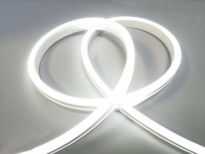 2835 LED Flexible Neon Led Strip Light 5 Meters IP67 24V DC Multipurpose