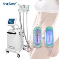 Cryo amincissant la machine pour le gros muscle de construction de perte et remodeler le corps amincissant la machine