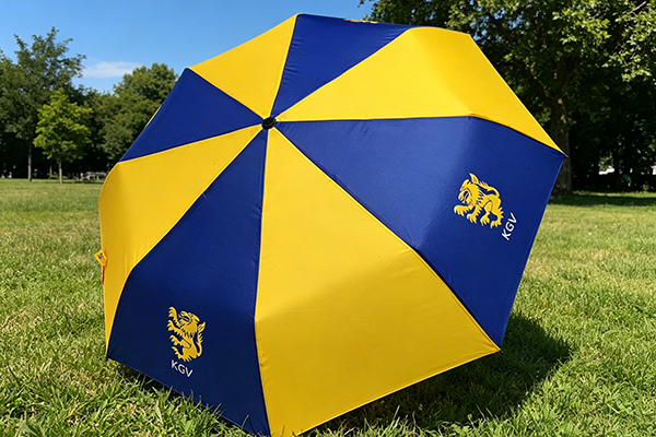 21 Inch Sublimation Printed Aluminum Frame Promotional Folding Umbrella for School Charity Fundraising