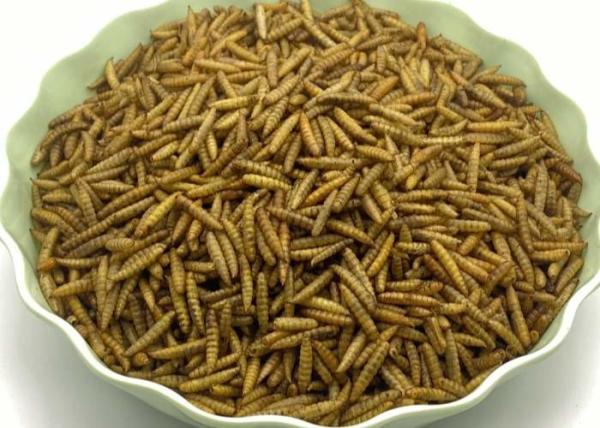 Carton Packaging Dried Black Soldier Fly Origin Ingredients Black Soldier Fly Larvae