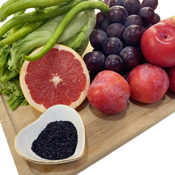 Biostimulants Acide Humique Hydrosoluble 80% Potassium 10% Noir Granulaire