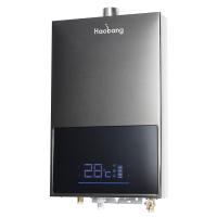 Silver Constant Temperature Water Heater Strong Active Safety Protection Bath Leak Prevention NG LPG