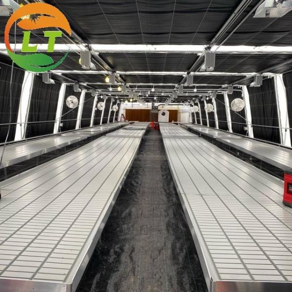 White Double Layer Greenhouse for Mushroom Farming Profitability