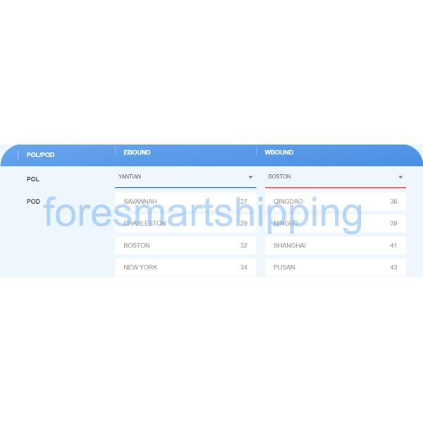 Boston North America Freight , 20ft 40ft Sea Container Shipping