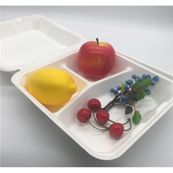 Bento Petroleum Free 8