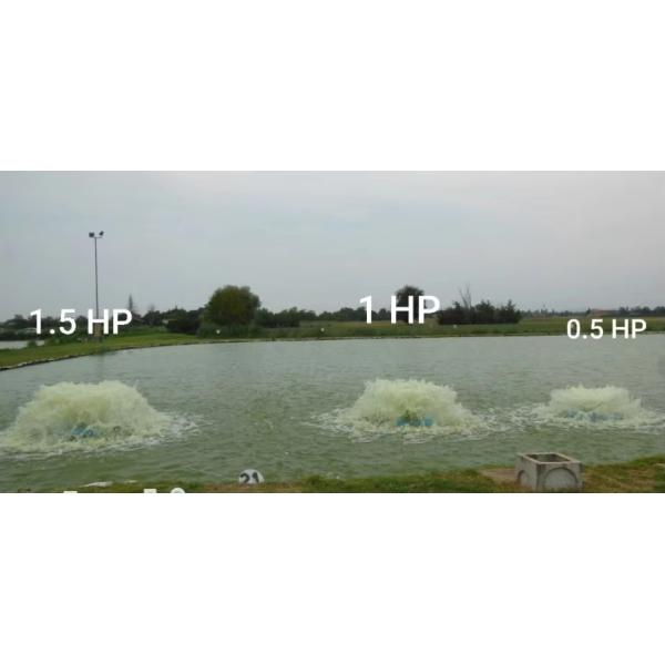 4RB 630 H67 Soplador lateral de alta presión de tres etapas soplador de aire para piscifactoría