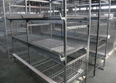 Industrial Broiler Chicken Cage Farming Conventional Cages For Laying Hens