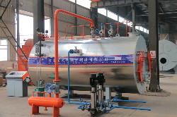 Skid Mounting Gas Fired Boiler with Steam Temperature of 184/194/204