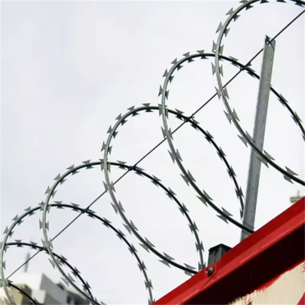 Hot-Dip Galvanized Heavy-Duty Barbed Razor Wire for Residential Security Fencing