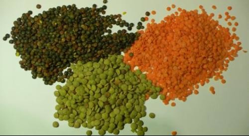 Toshiba CCD sensor Beans Color Sorter , Lentils Millet Sorting Machine