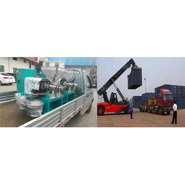 Max Capacity 300 kg/h 6yl Pomegranate Seed Oil Extraction Machine Jatropha Oil Press Machine with Oil Vacuum Filter 98%-100%