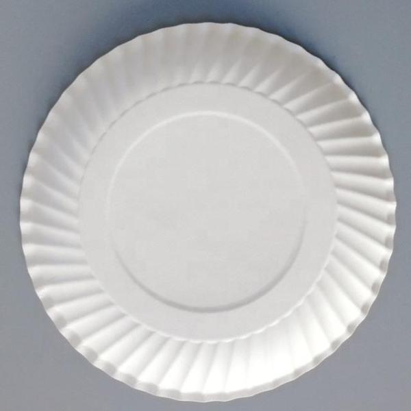 Eco-friendly Disposable Tableware for Birthday Party Food and Cake Plate Lunch Plate