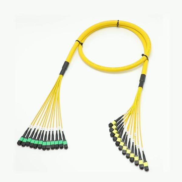 Cables MPO Fanout de baja pérdida Núcleo de gran cantidad 1M 144F SMG657A1 MPO APC a MPO APC Breakout Cord de parche de fibra óptica