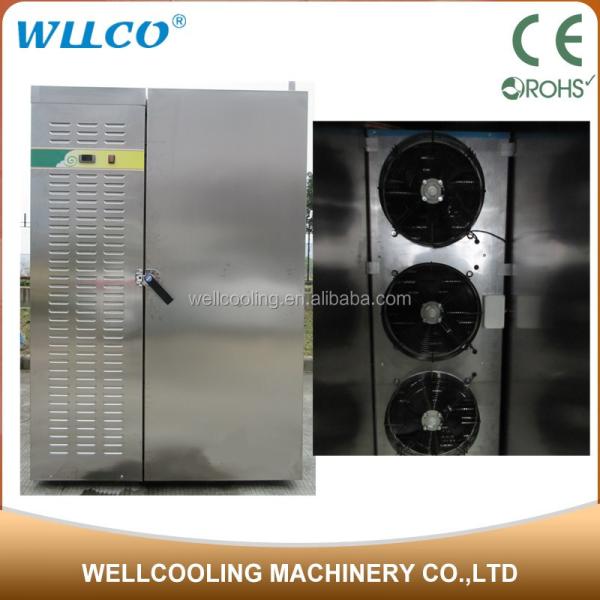 Low Cost Refrigeration Frozen Cold Storage for Kitchen Use