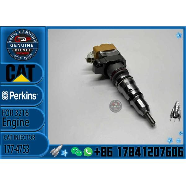 Fuel Injector  171-9704 10R-1306 10R-1257 229-8842 178-6342 178-6343 177-4752 177-4753 For Engine Caterpillar 312