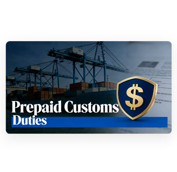 Comprehensive Customs Clearance Services , Compliance Services With Proxy Customs Declaration