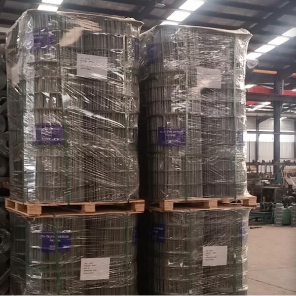 25m 30m Galvanized Welded Metal Wire Mesh Rolls 1/4 inch 8 inch Aperture