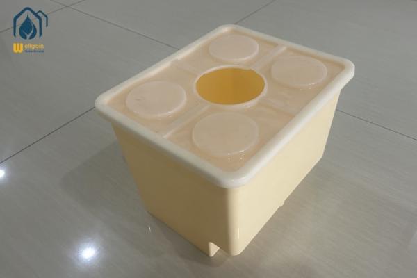 Soilless Cultivation Hydroponic Dutch Flower Buckets For Blueberries And Pepper