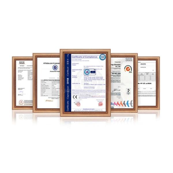 Indoor Bio Ethanol Fireplace Freestanding Styles Suspended