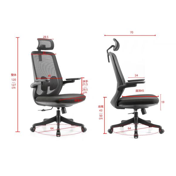 Mid Back Ergonomic Mesh Task Chair 2D Ergonomic Luxury Office Chair