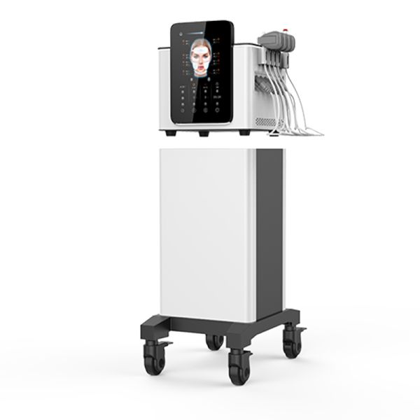 Beauty Salon EMS Machine Face With Services 100% Authority Assurance
