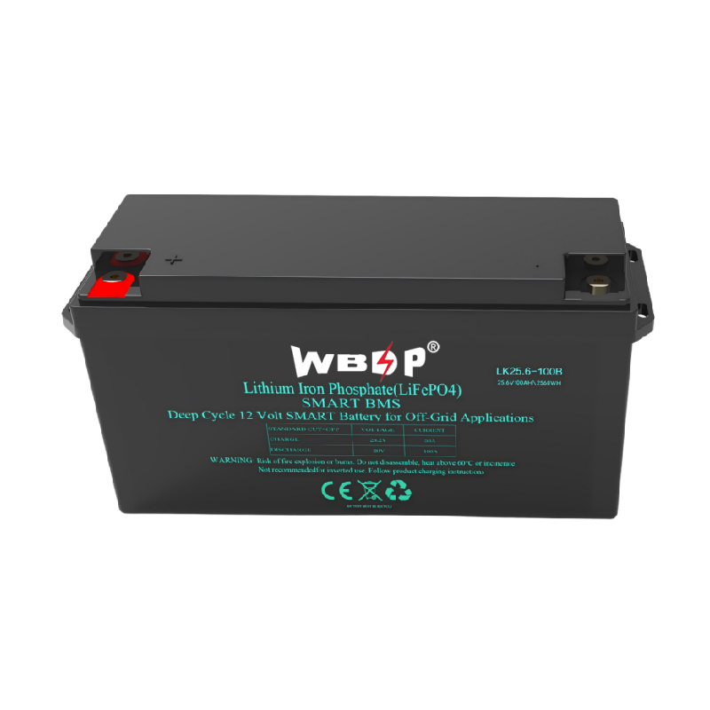 25.6V 24V 100Ah Lithium LiFePo4 Battery Maintenance Free Camper Van Lithium Battery