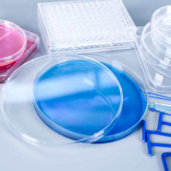 cell culture Пластиковые чашки Петри простерилизованные лабораторией устранимые стерильные с крышками