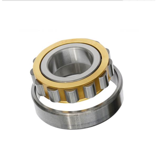 Толщина 21mm подшипника ролика хромовой стали NUP307E цилиндрическая с клеткой нейлона