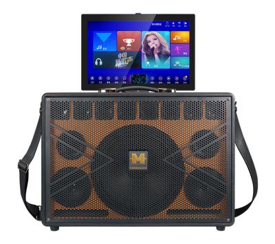 ODM OEM Rechargeable WIFI Karaoke Speaker All In One Video Speaker With Screen