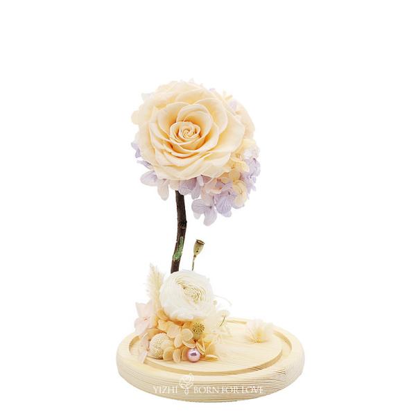 Upscale Dia7-8CM Preserved Rose Glass Dome For Home Decoration