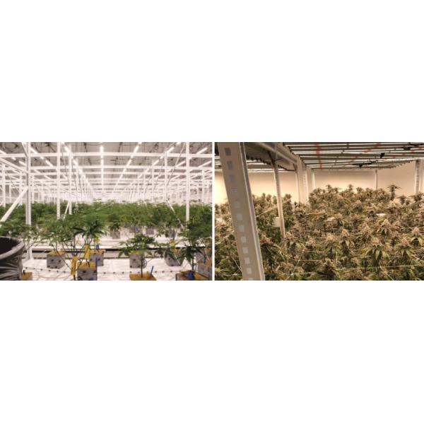 Вертикаль 2 коноплей яруса 4x8ft растет шкаф для Hydroponic крытый обрабатывать землю