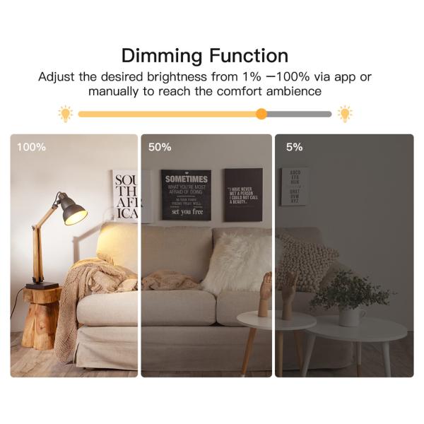 Smart Dimmer Plug