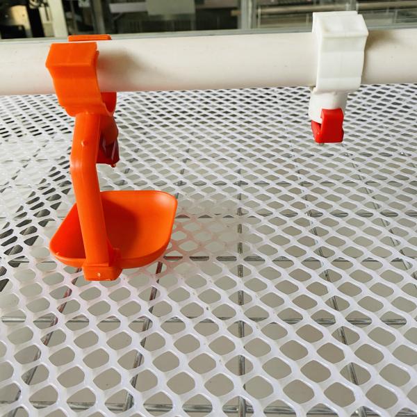 Бесплатный Дом Руководство 4 уровень А Тип Яйцевой слой Куриная клетка 160 Птицы Вместимость