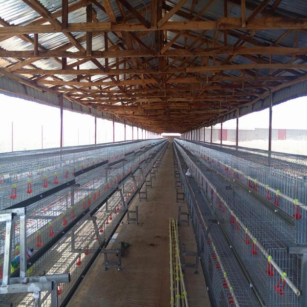 Galinha Broody galvanizada da gaiola da galinha, 3 ou 4 dos assoalhos que aumenta o equipamento