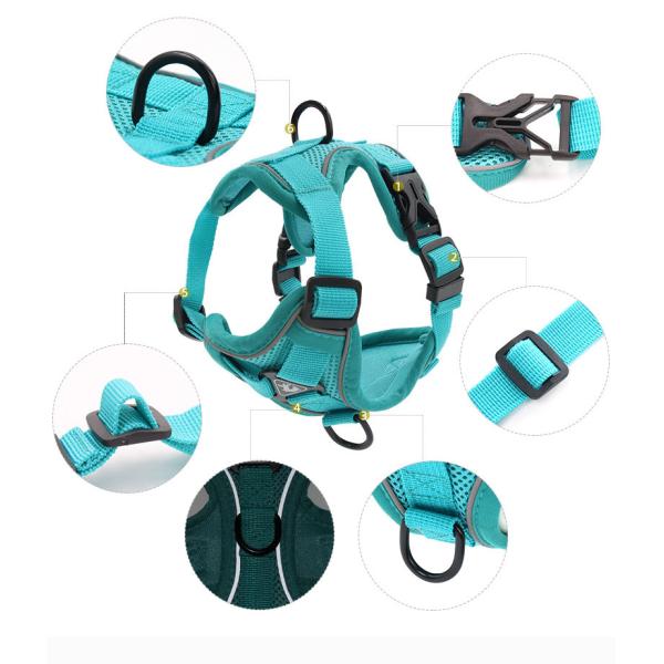 Adjustable Breathable Dog Vest Safety 1.5m Traction Leash No Pull Dog Harness Set Personalized for Safe and Stylish Walks