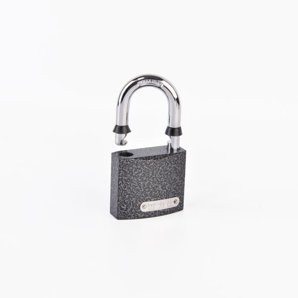 Rarlux 50mm Lock High Quality Safety Sample Available Padlocks Waterproof Iron Padlock