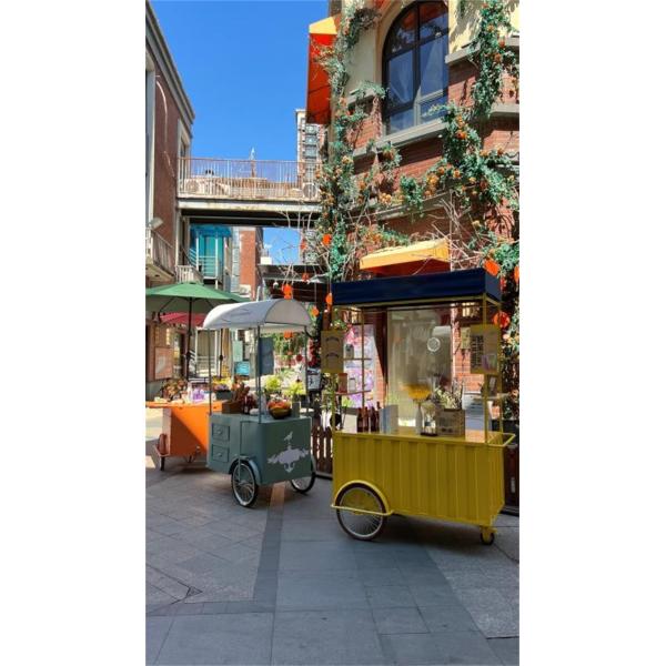 Stable Performance Galvanized Steel and Stainless Steel Tricycle for Food Delivery