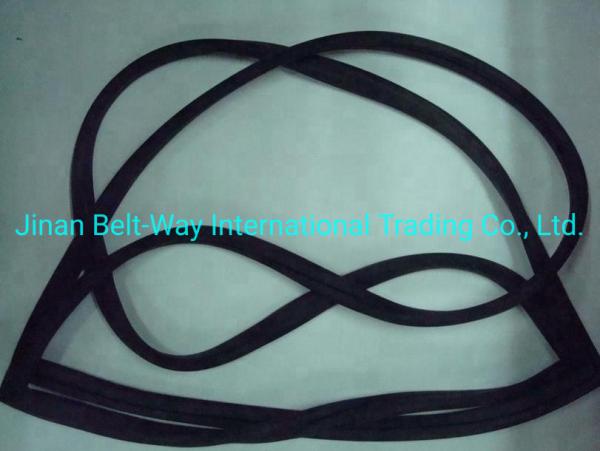 Sinotruk HOWO Truck Parts Windshield Sealing Rubber Wg1642710002 Standard Competitive