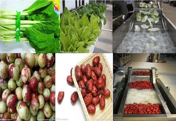 Rooted Plant Fruit And Vegetable Processing Machinery Washing Equipment  Large Capacity