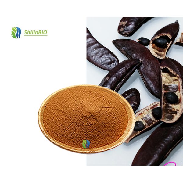 High Quality Bulk Food Grade Herbal Extract Cassia Nomame Extract Powder  30% Cassia Nomame Flavanols in Bottles Drums