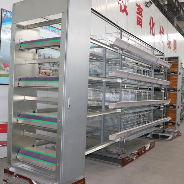 jaula de batería automática de Suráfrica de la jaula de las aves de corral del pollo de la capa de 4Tiers 160Birds Uzbekistán