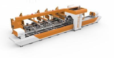 Máquina de corte de alimentação automática do laser da tubulação de aço para a vária forma Ture