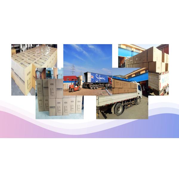 Sealed Storage 5 Gallon Stainless Steel Milk Can With Spigot