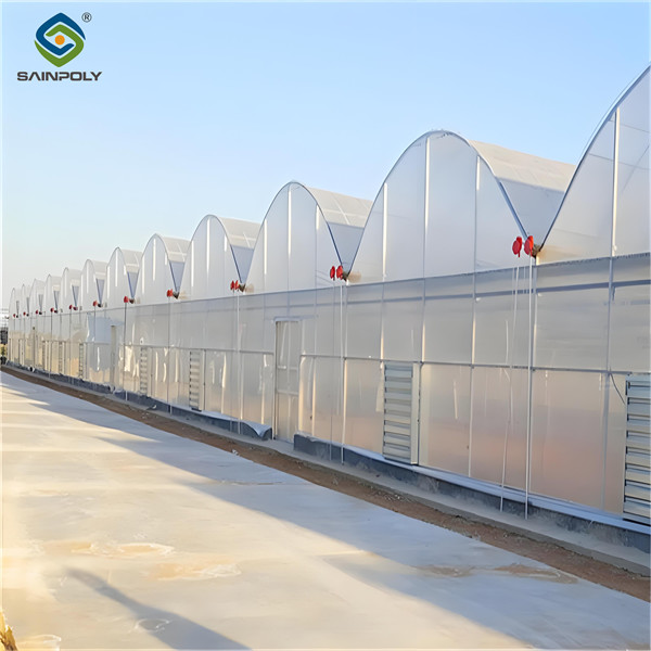Customized Commercial Greenhouse Vegetable Production For Pepper And Cucumber
