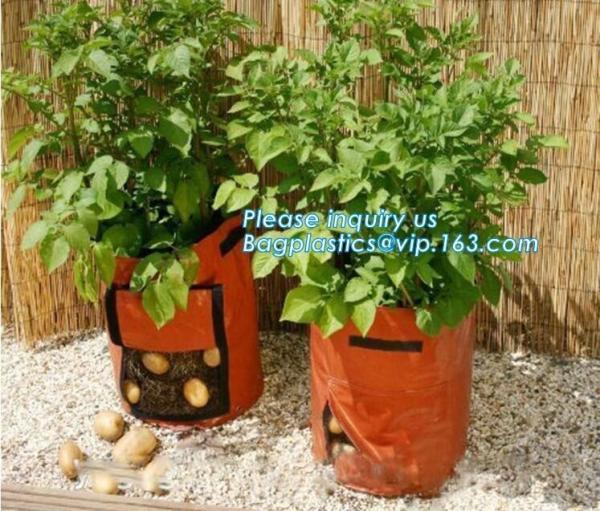 100 a árvore bronzeado que do galão de /200/300 cresce o saco 100gallon crescem o saco para árvores da planta, vegetais crescem sacos que plantam os sacos que crescem sacos