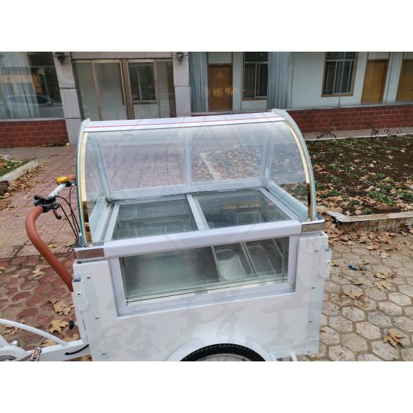 Mobile Food Truck Machinery Function Provide food with Tricycle Bike Food Cart