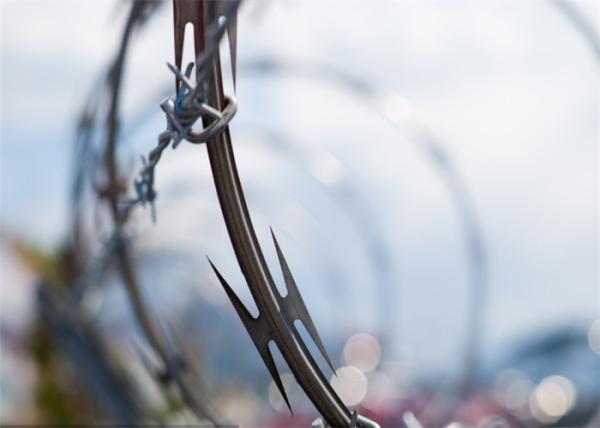 Single Loop Rust Proof Galvanized Razor Wire Black Annealed Outdoor Use